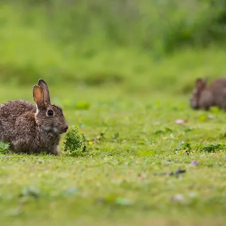 Yorkshire Dales 14 By Together Travel - 3-bed Premium Family Ferienhaus